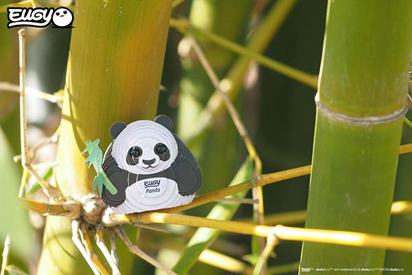 EUGY Panda - Image 6