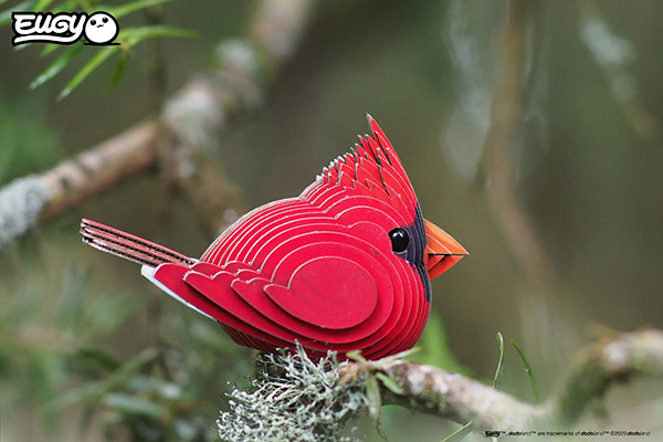 EUGY Cardinal - Image 7