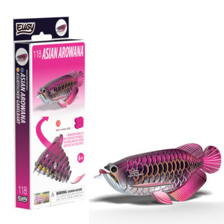 EUGY Asian Arowana