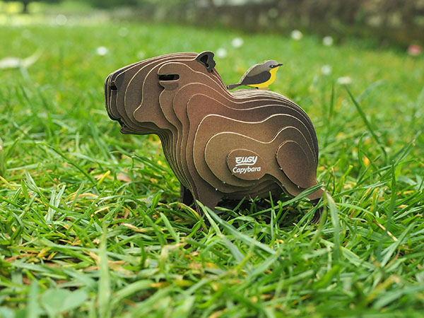 EUGY Capybara - Image 7