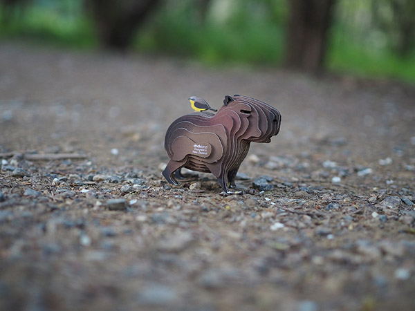 EUGY Capybara - Image 6