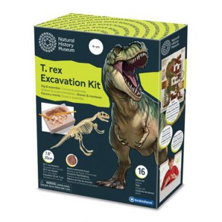 Natural History Museum T.rex Excavation Kit