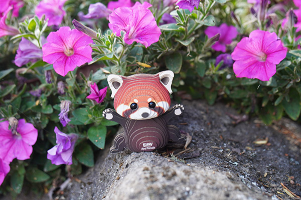 EUGY Red Panda - Image 7
